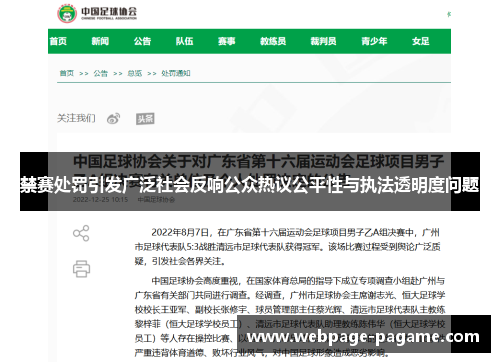禁赛处罚引发广泛社会反响公众热议公平性与执法透明度问题