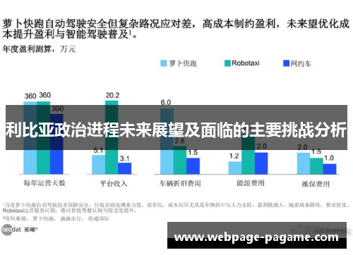 利比亚政治进程未来展望及面临的主要挑战分析