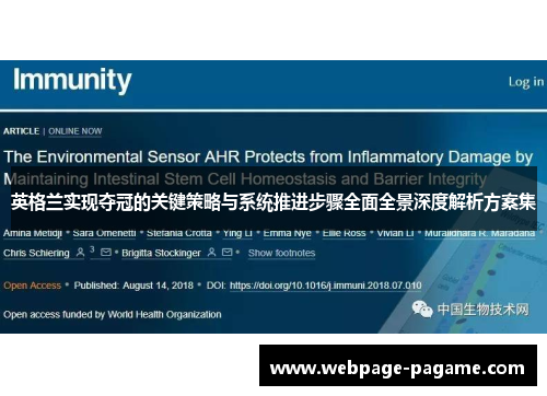 英格兰实现夺冠的关键策略与系统推进步骤全面全景深度解析方案集 英格兰实现夺冠的关键策略与系统推进步骤全面全景深度解析方案集