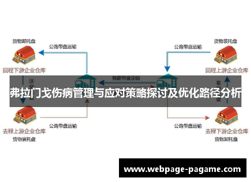 弗拉门戈伤病管理与应对策略探讨及优化路径分析