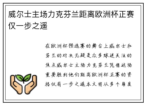 威尔士主场力克芬兰距离欧洲杯正赛仅一步之遥