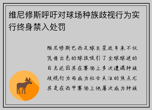 维尼修斯呼吁对球场种族歧视行为实行终身禁入处罚